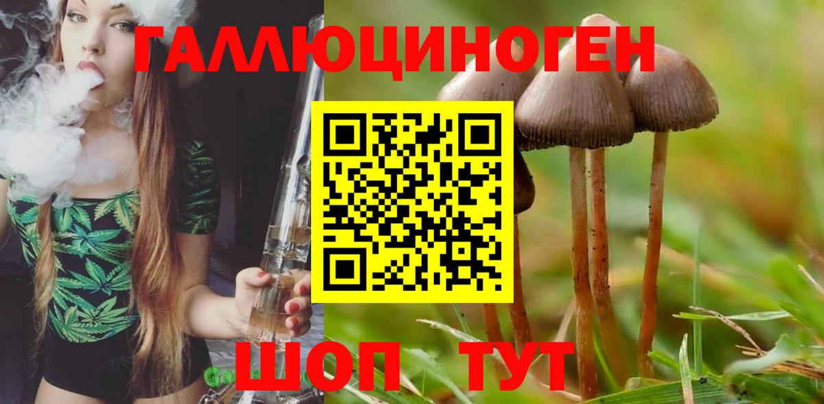 Галлюциногенные грибы ЛСД Железноводск
