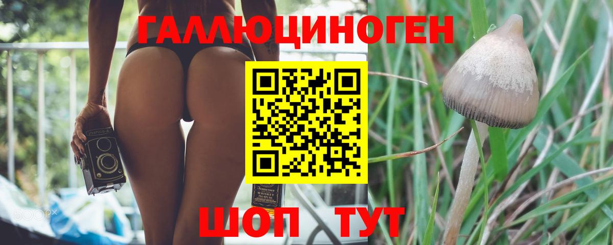 Галлюциногенные грибы мицелий  Галлюциногенные грибы Psilocybine cubensis  Железноводск  Вход с VPN 